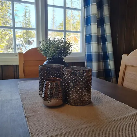 Traditional At Norefjell *