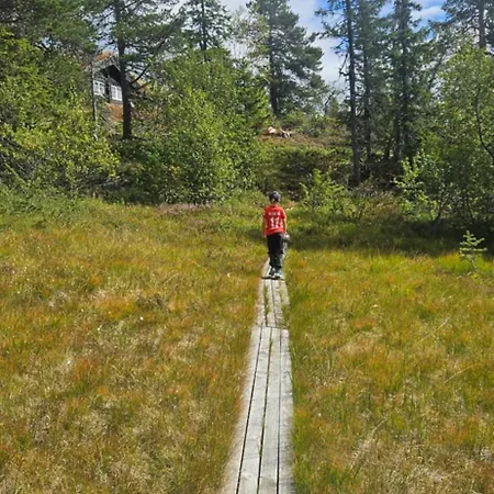 Chalet Traditional At Norefjell Noresund